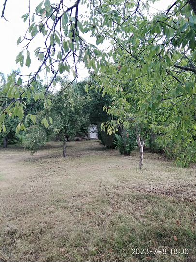 Участок 15 сот. (ИЖС)