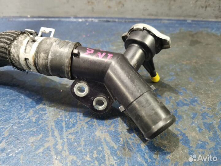 Заливная антифриза Toyota Probox NCP165