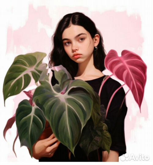 Филодендрон розовая принцесса