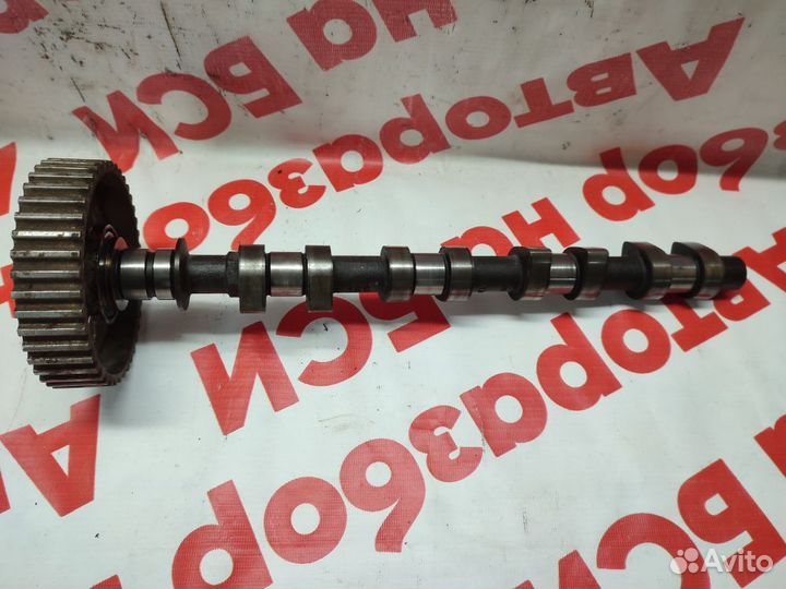 Распредвал Daewoo Nexia 1.5 16кл