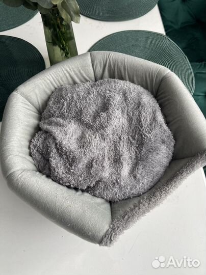 Домик для кошечки либо маленькой собачки