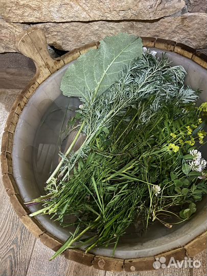 Баня Женское Парение