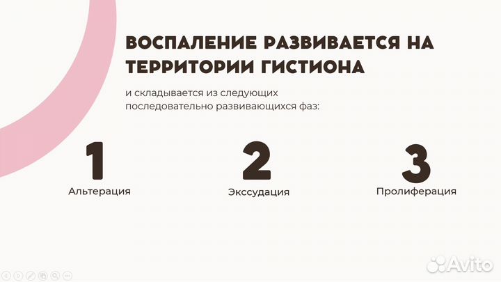 Создание презентаций на заказ