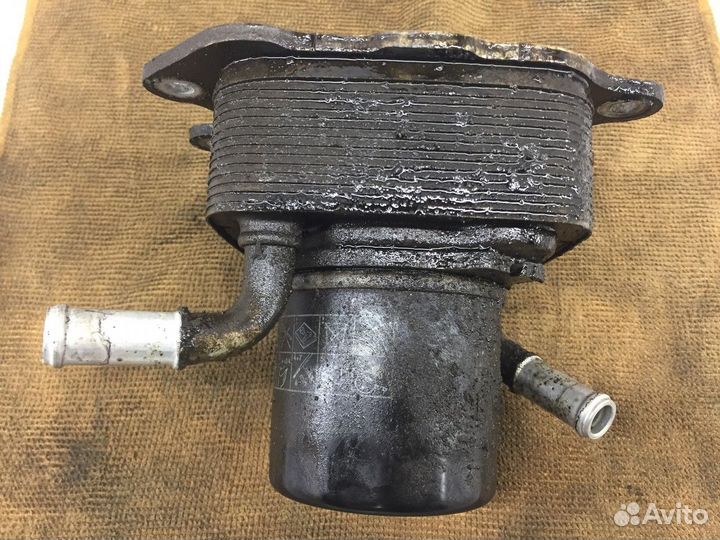 Радиатор масляный двигателя (Infiniti QX56)