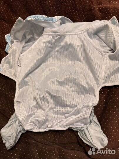 Вещи для собак мелких пород