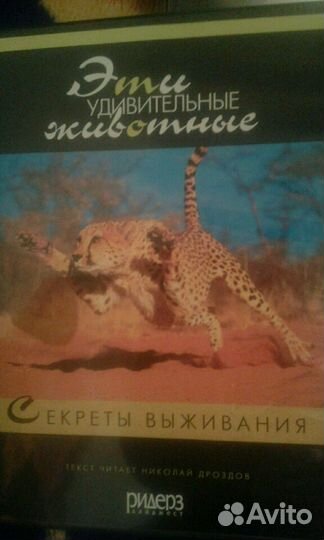 Видео о жизни животных