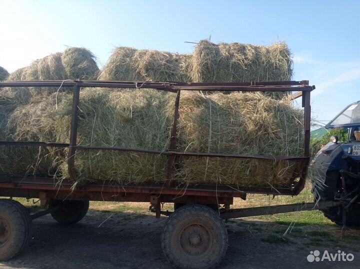 Сено в рулонах