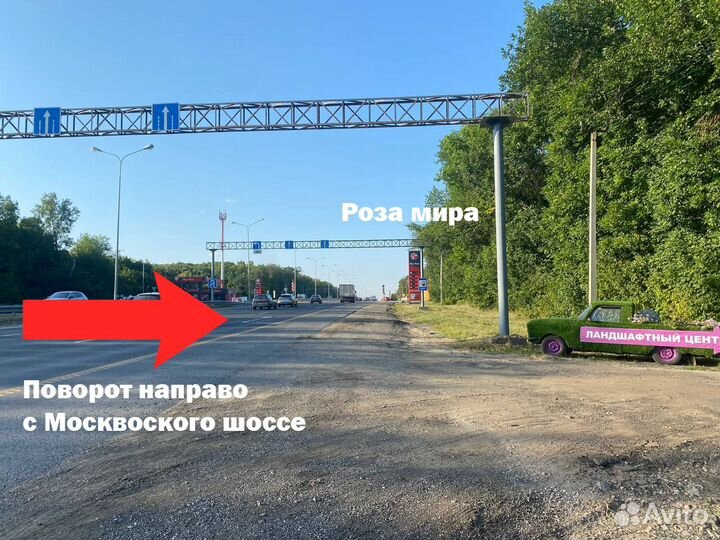 Мульча кора лиственницы для сада и декора 6-10