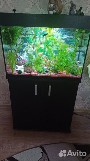 Аквариум с тумбой