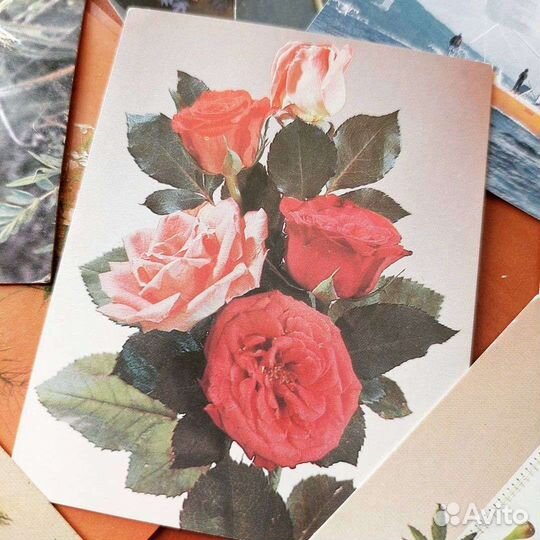 Открытки СССР