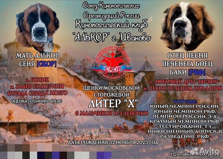 Щенки Московская сторожевая