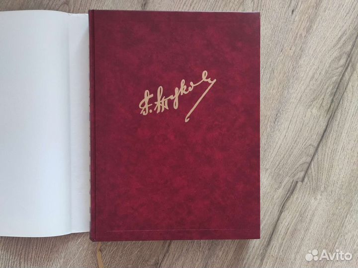 Книга. Жуков. Фотолетопись