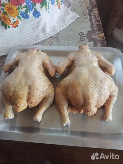 Куры бройлеры мясо