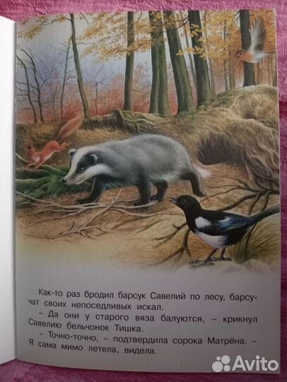 Книга, Непослушные барсучата, новая