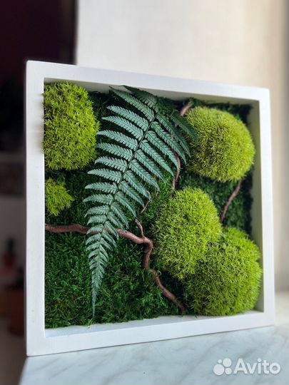Панно из стабилизированного мха