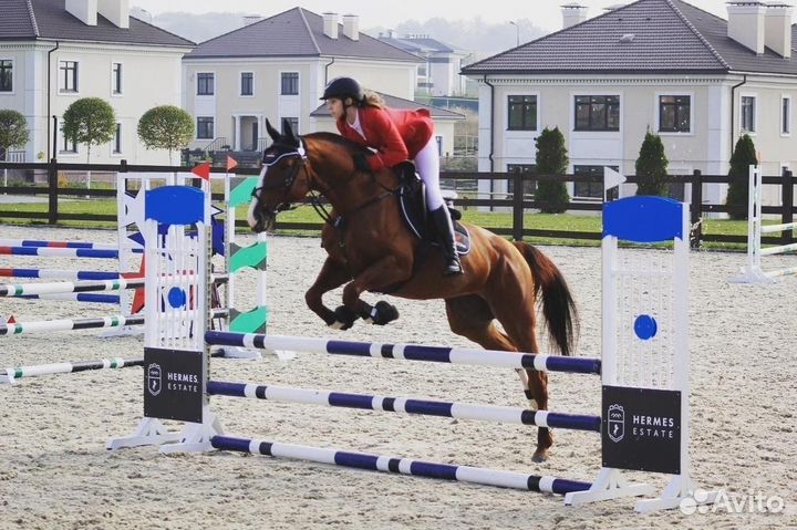 Кобыла в конкур