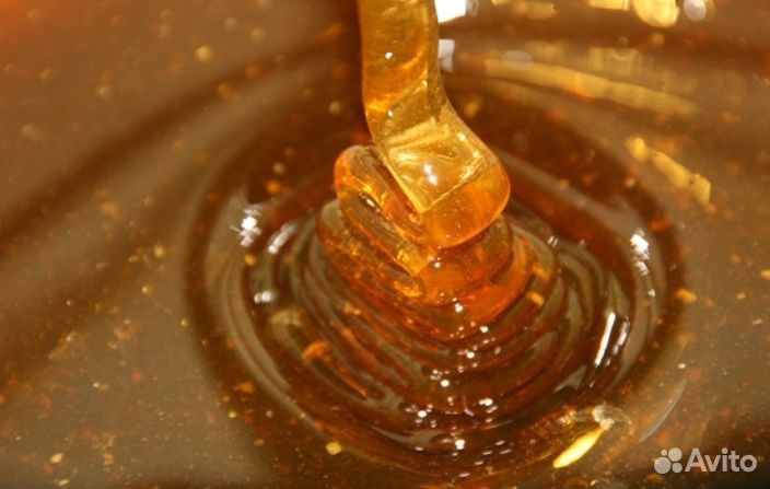 Мед натуральный из Алтая опт min 16kg