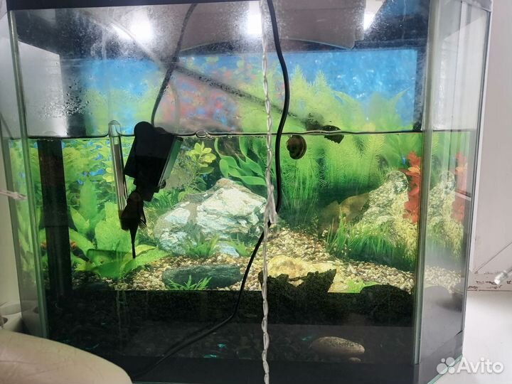Аквариум 40 литров