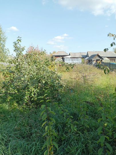 Дом 38,8 м² на участке 15 сот.