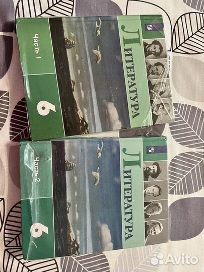 Учебник литературы 6 класс в двух частях Коровина