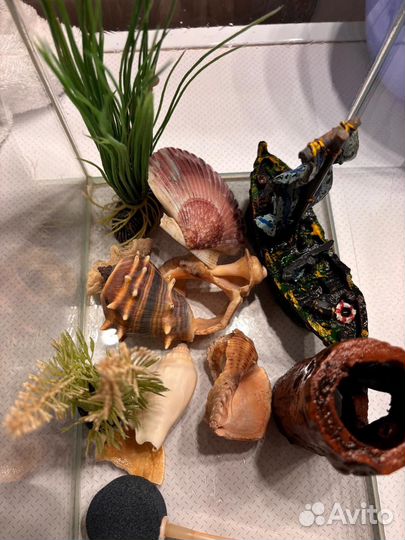 Аквариум с принадлежностями