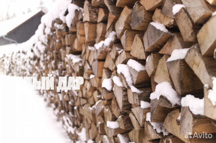 Дрова осиновые