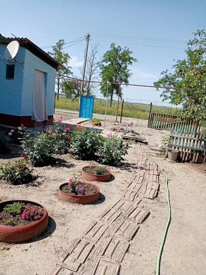 Дом 38,6 м² на участке 6 сот.