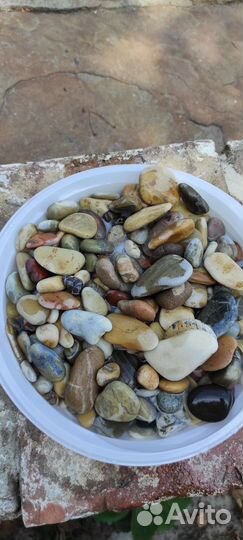 Морские камушки