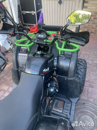 Авантис хантер