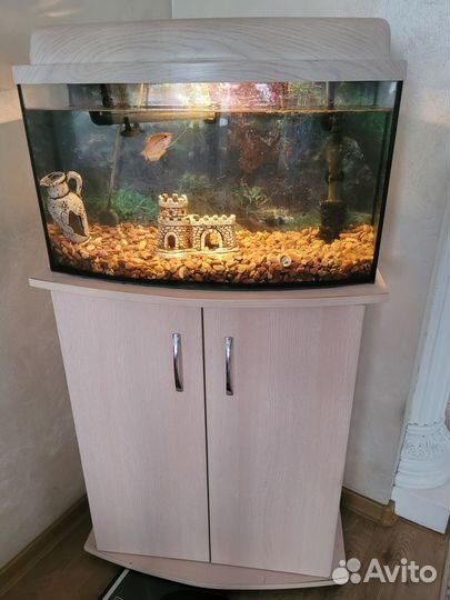 Продам аквариум с рыбкой