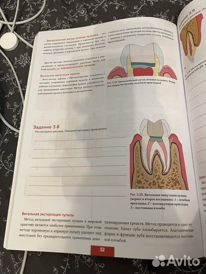 Рабочая тетрадь 