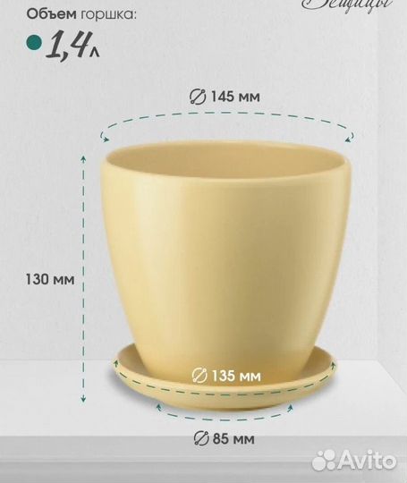 Компьютерный стол, стулья, растение, стеллаж