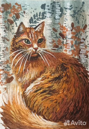 Кот на окне акварель