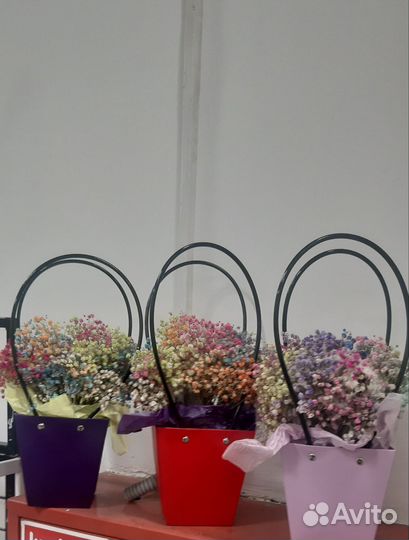 Гипсофила букет/корзинка