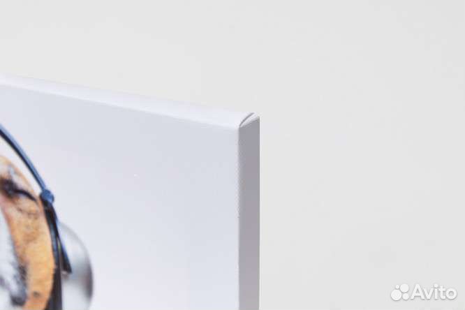 Интерьерная картина Милый пёс в наушниках