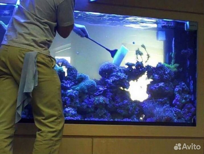 Чистка аквариума,запуск,помощь,консультация