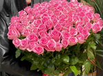 Цветы Розы 51-101