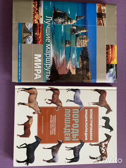 Породы лошадей