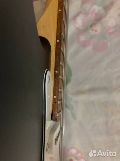 Fender squier bullet