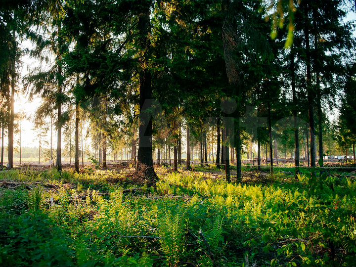 Участок 7,2 сот. (ИЖС)