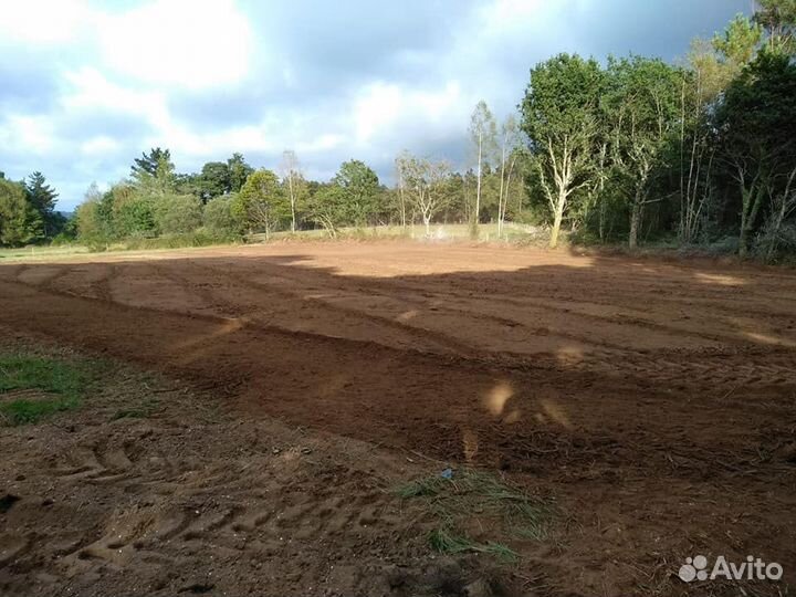 Мульчер Niubo Super Diamond TSD 250, 2023