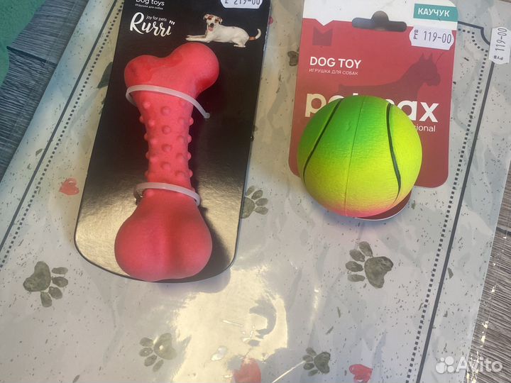 Принадлежности для собаки