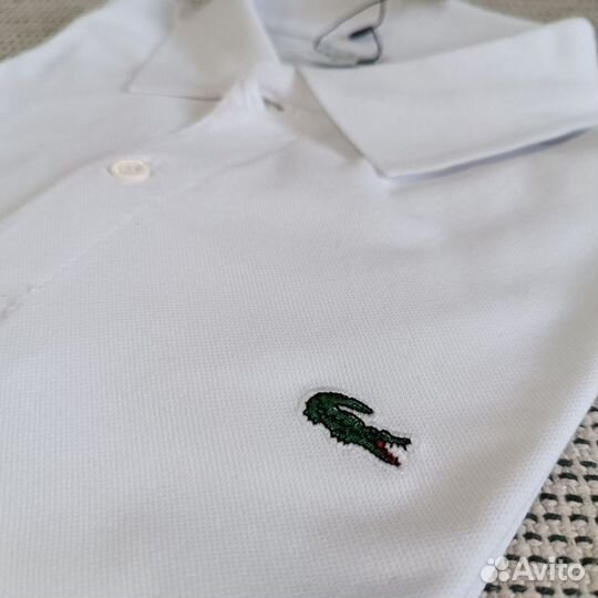 Polo lacoste