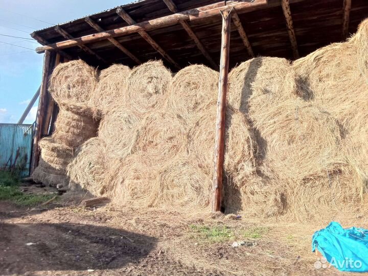 Продам сено в рулонах