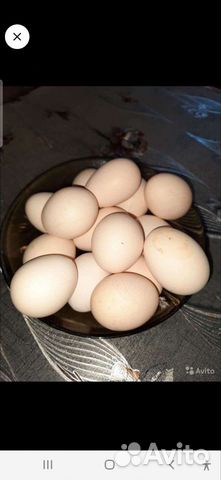 Куриные яйца