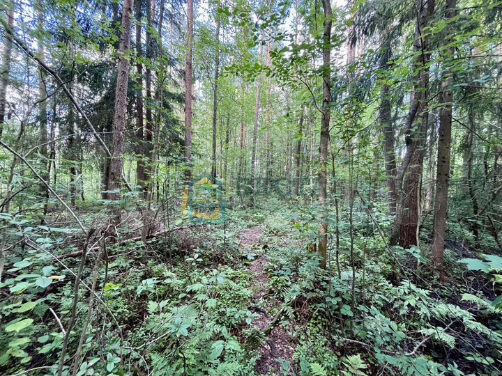 Участок 14,5 сот. (ИЖС)