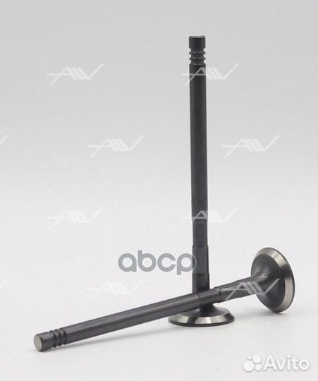 Клапан выпускной BR.EP.6.7-ex;1 113