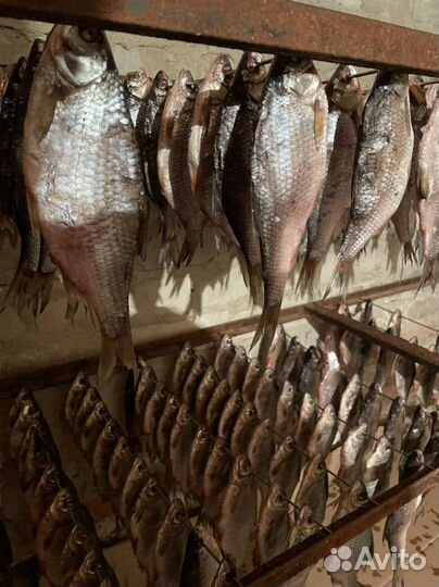 Вяленая сушеная рыба