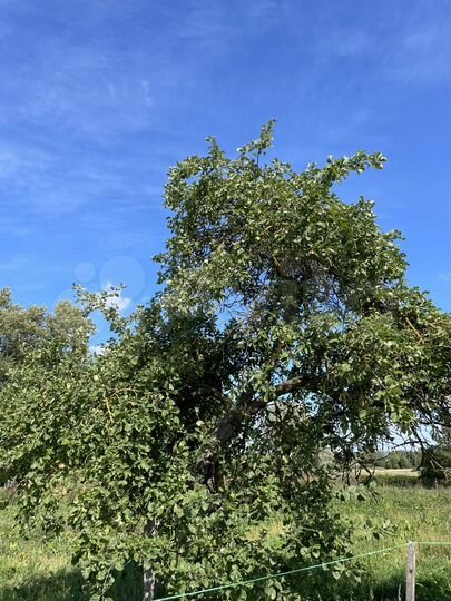 Дом 60 м² на участке 28,9 сот.