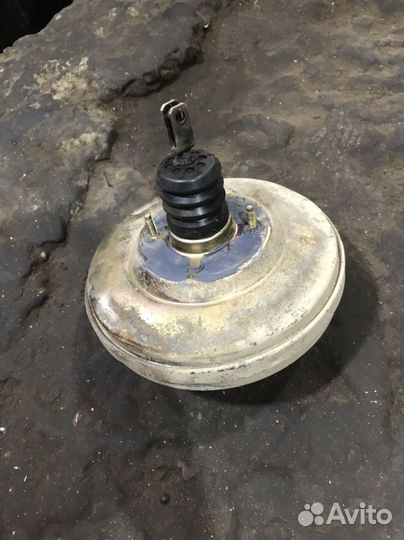 Вакум на калину